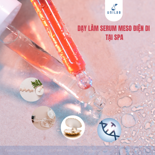 Học Công Thức Serum Meso Điện Di