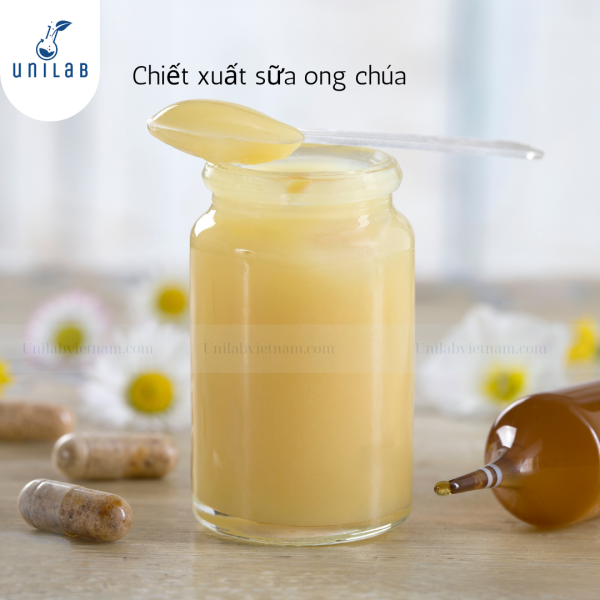 Chiết Xuất Sữa Ong Chúa