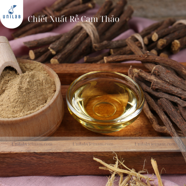 Chiết Xuất Rễ Cam Thảo