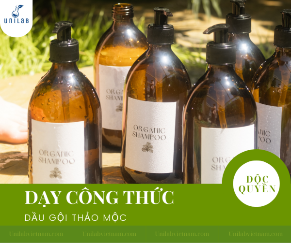 Dạy Công Thức Dầu Gội Thảo Mộc