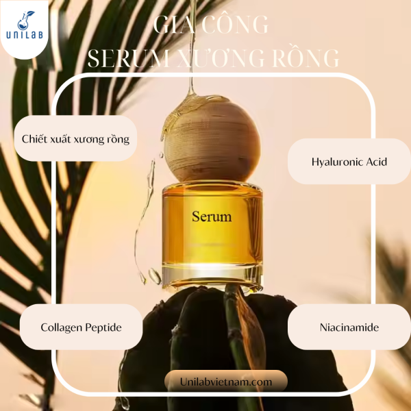 Gia Công Serum Xương Rồng