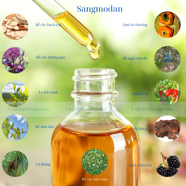 Sangmodan