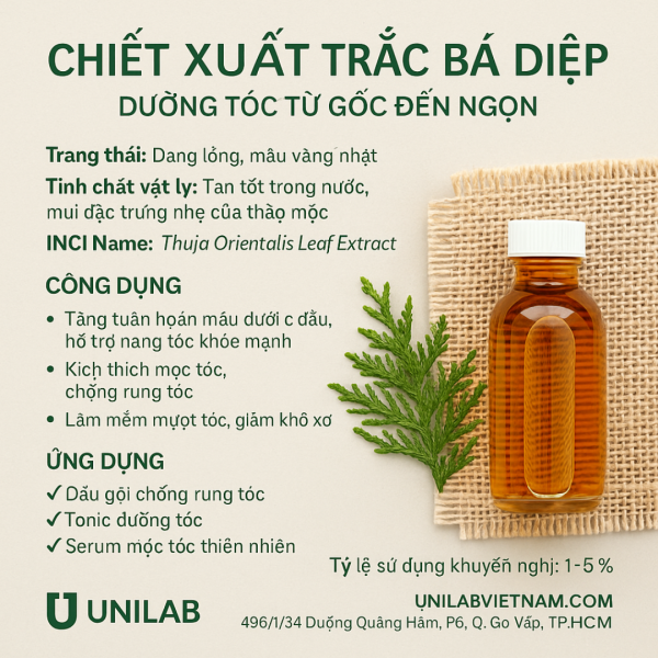 Chiết xuất trắc bá diệp