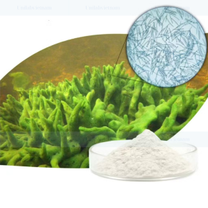 Hydrolyzed Sponge