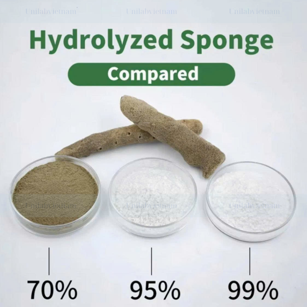 Hydrolyzed Sponge