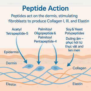 Natori Peptide Complex R HD