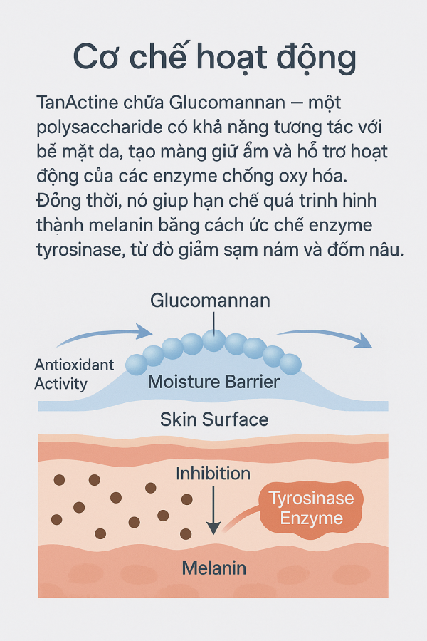 TanActine
