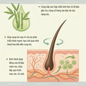 Plant C-Stem™ Bamboo