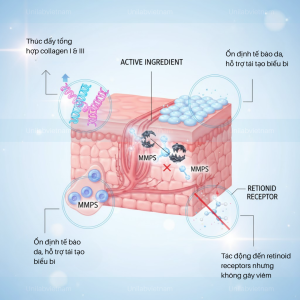 ActiBiso™ Bakuchiol Plus