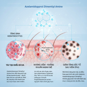 Azelamidopropyl Dimethyl Amine