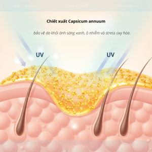 Blueshield – Hoạt chất chống ánh sáng xanh