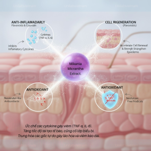 Chiết Xuất Cúc Leo (Mikania Micrantha Extract)