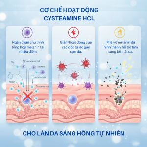 Cysteamine HCl – Hoạt Chất Làm Sáng Da