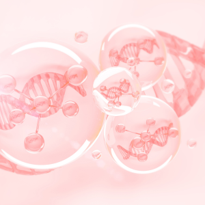 Gia Công Serum HA Hoa Hồng