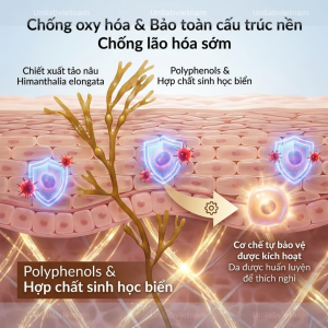 SAGACIOUS – HOẠT CHẤT TẢO BIỂN SINH HỌC