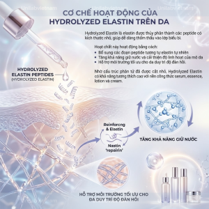 ECM-5 Hydrolyzed Elastin