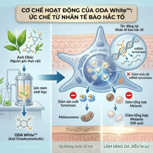 ODA White – Hoạt Chất Làm Sáng Da