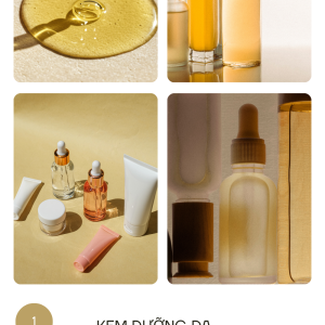 Chiết Xuất Xương Rồng