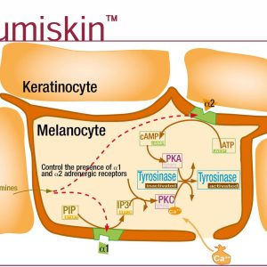 LUMISKIN™ – HOẠT CHẤT ỨC CHẾ MELANIN LÀM SÁNG DA