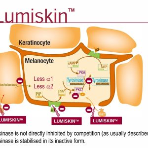 LUMISKIN™ – HOẠT CHẤT ỨC CHẾ MELANIN LÀM SÁNG DA