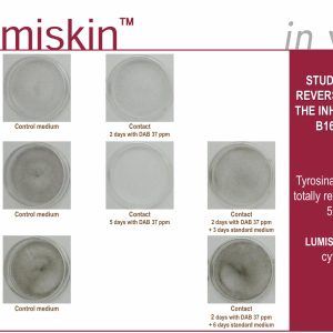 LUMISKIN™ – HOẠT CHẤT ỨC CHẾ MELANIN LÀM SÁNG DA