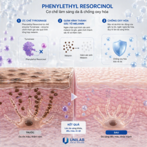 Phenylethyl Resorcinol hoạt chất sáng da