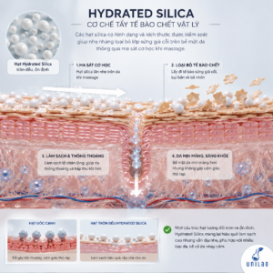 Hydrated Silica vỏ trấu