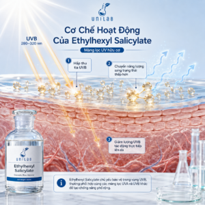 Ethylhexyl Salicylate