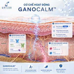 GANOCALM™ – Chiết xuất nấm linh chi