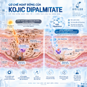 Kojic Acid Dipalmitate