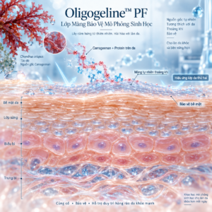 Oligogeline™ PF – Màng sinh học từ tảo đỏ