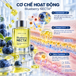 Blueberry NECTA® – Dầu Hạt Việt Quất