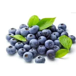 Blueberry NECTA®- Dầu hạt việt quất